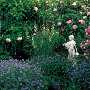 Garden_5