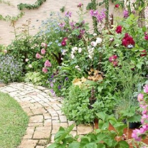 Garden_6